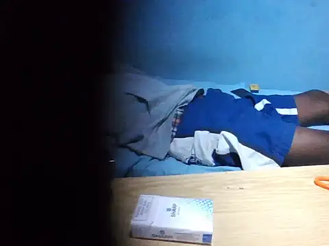 skiins webcam