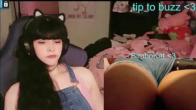 BimboCat webcam