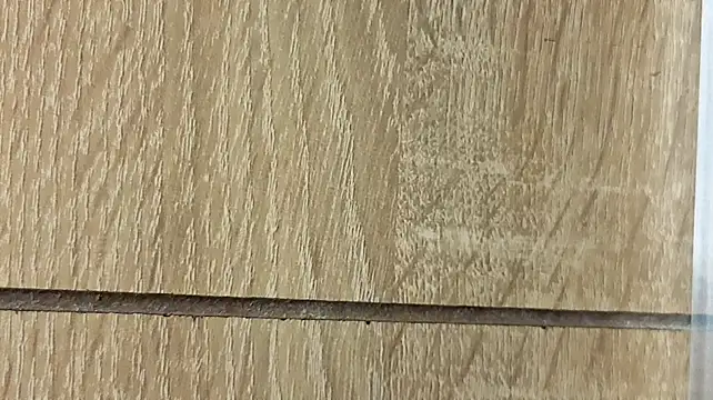 NoFace_Model webcam