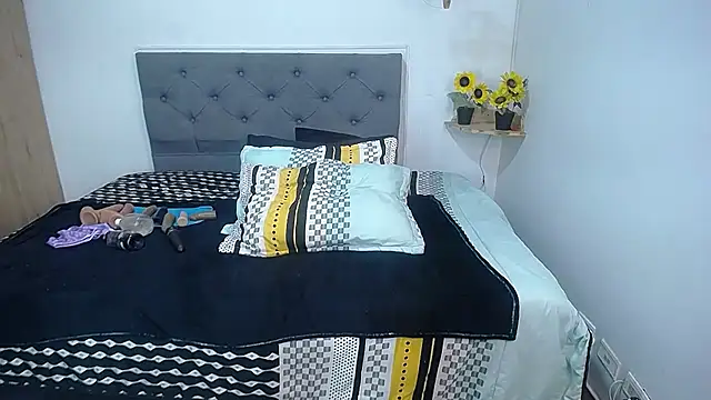 sasi_luna webcam