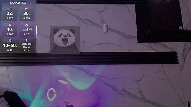 Saimonvela webcam