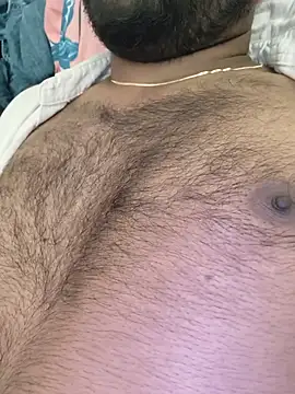 Silvershadde webcam