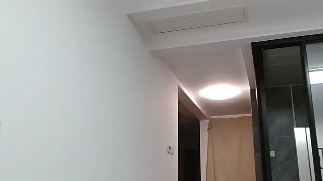 sonyx webcam