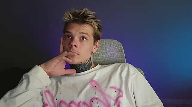 DENIS_HERE webcam