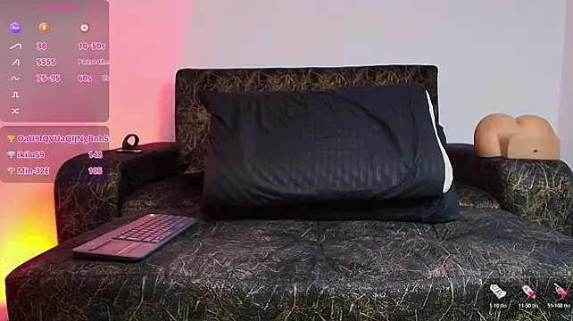 BrayaanFit webcam
