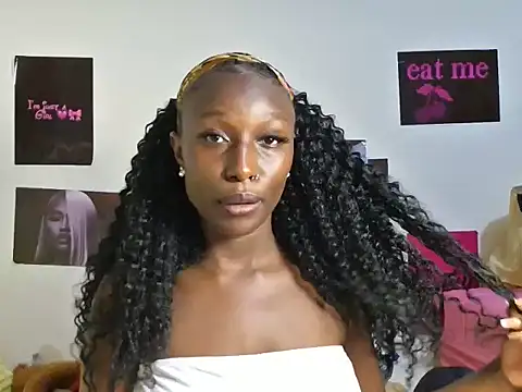 Aria_ah webcam