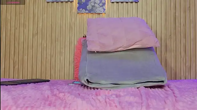 Moonceleste webcam
