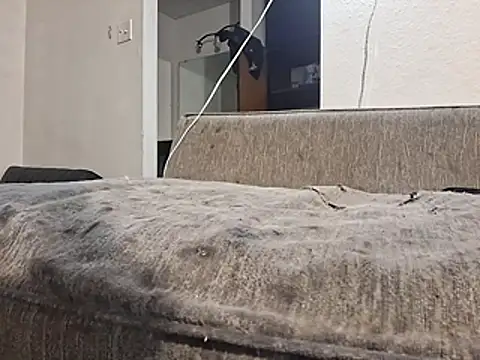 247Srokin live cam