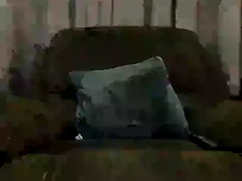 largepanny webcam