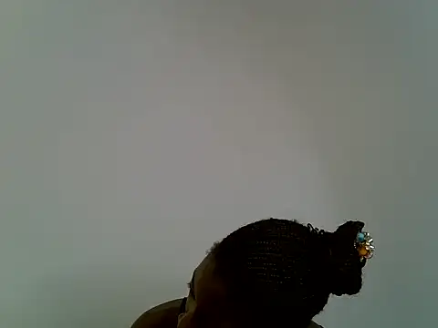Calmfolower webcam