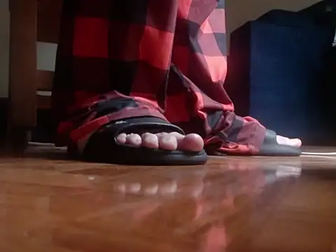 alphaswitchard webcam
