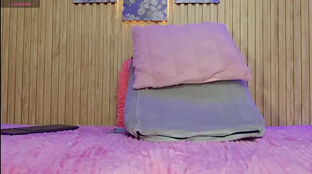 Moonceleste webcam