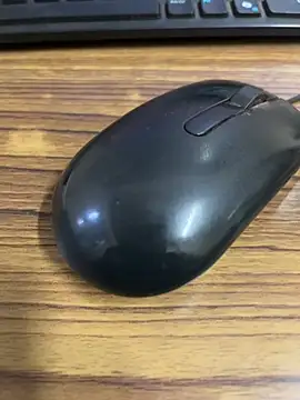 TheTamilGent webcam