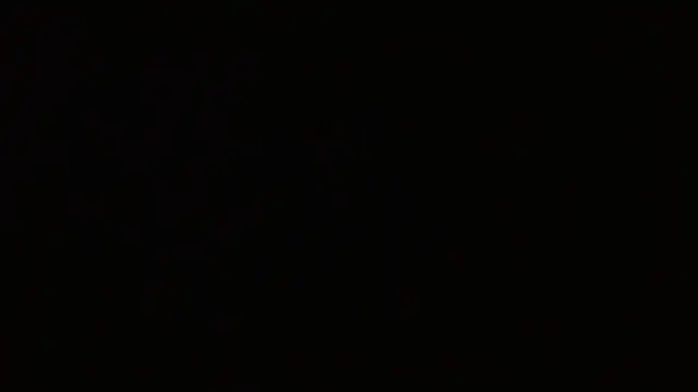 Pandora_9666 webcam