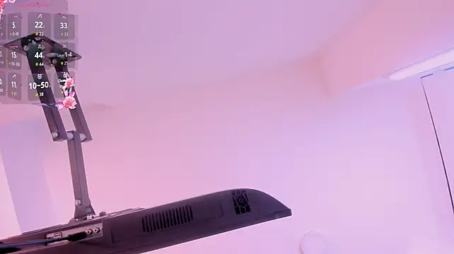 CataSaint webcam