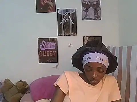 Eira01 webcam