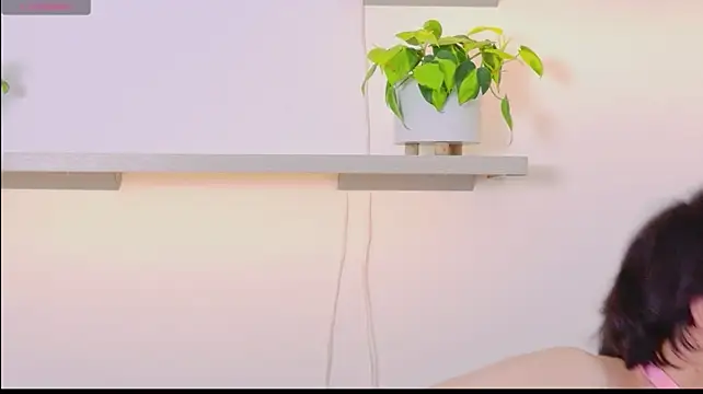 JeyboiXO
