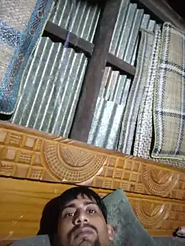 lermaalburu webcam