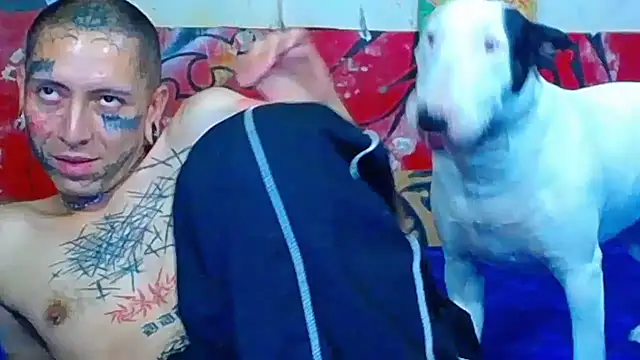 deivid_estrada webcam