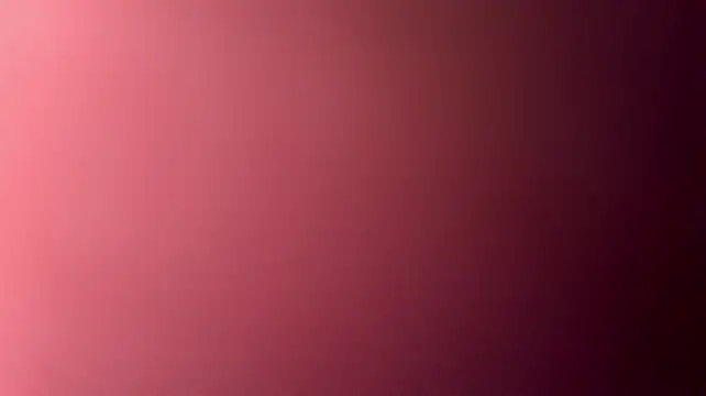 studlyhardwoodd webcam