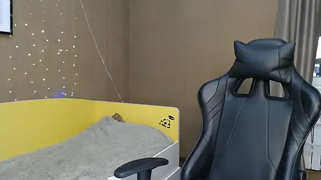 traxexe webcam