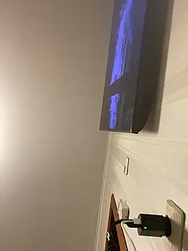 Frosl webcam