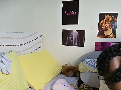 Aria_ah webcam