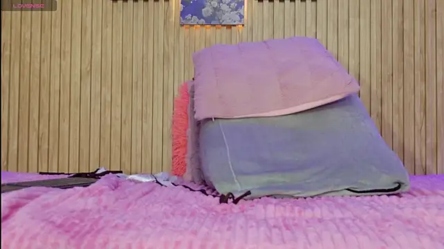 Moonceleste webcam