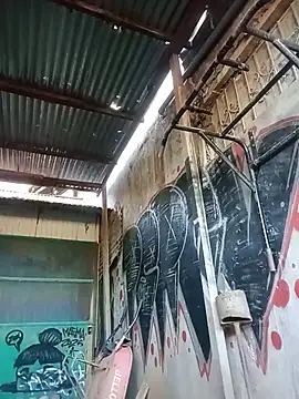 leyel00155