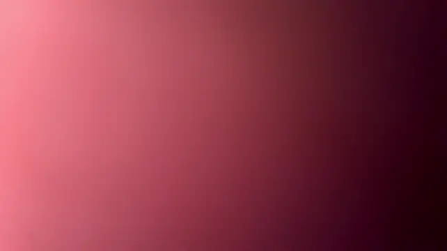 studlyhardwoodd webcam