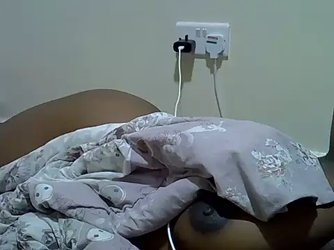verl1 webcam