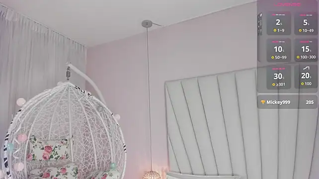 Greymarii live cam preview