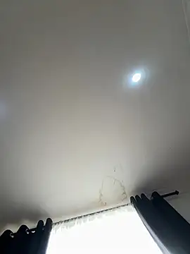 pawmistry