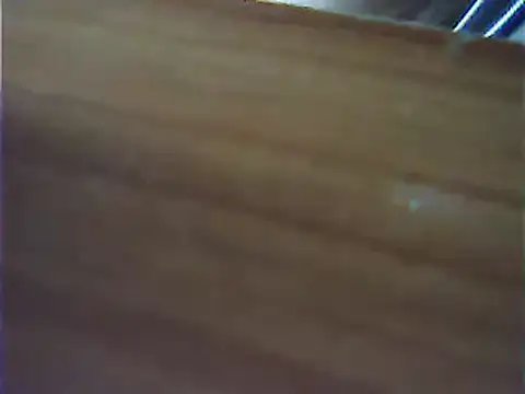 VeneRed webcam