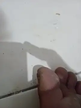Mrhobka