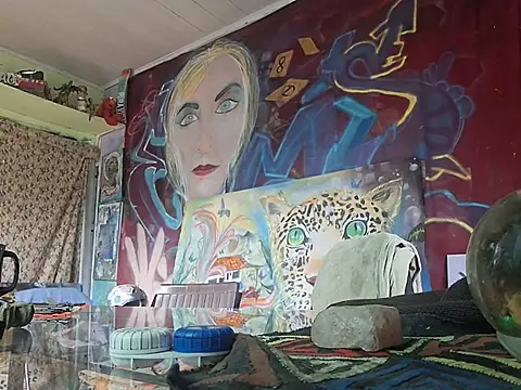 Toycockhot webcam