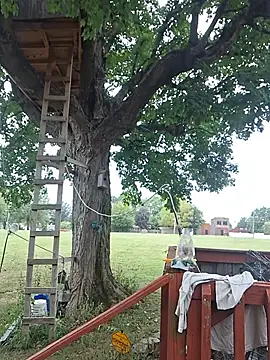 DaddyAndSplashQueen webcam