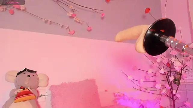 Ma4vis webcam
