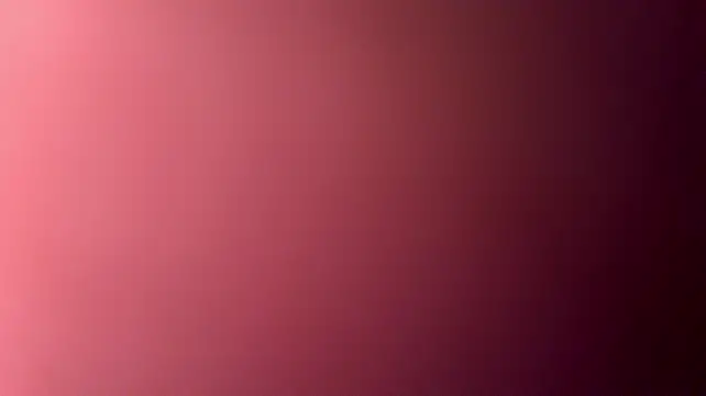 studlyhardwoodd webcam