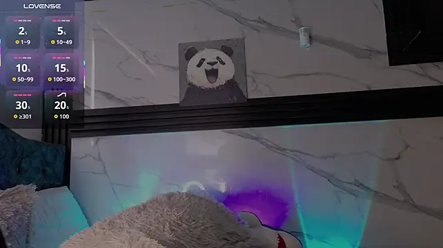 Saimonvela webcam