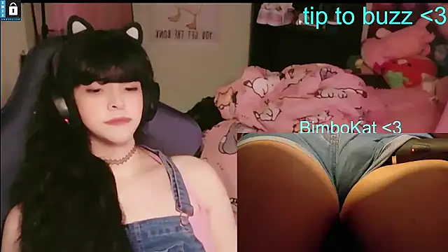 BimboCat webcam