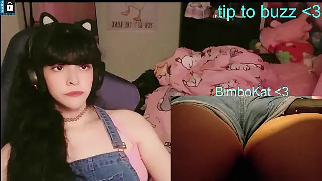 BimboCat live cam preview