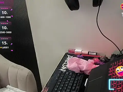 zelda-princess webcam