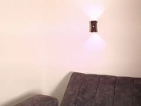 LannyShell webcam