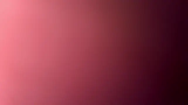 studlyhardwoodd webcam