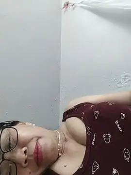 bdbdzs1 webcam