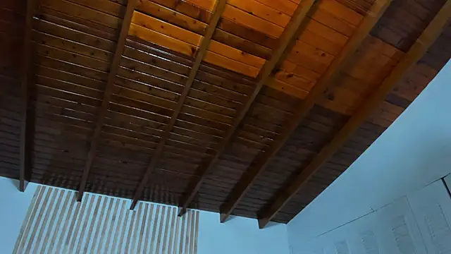 lizzy_dolce