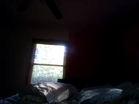 Blkstylion webcam