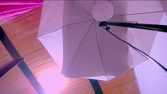 MaidenGame webcam