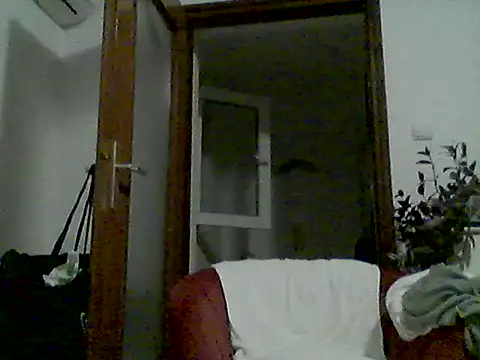 DalmatianCroatia webcam